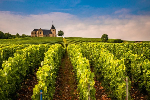 Comment organiser une visite des vignobles de la région de Bordeaux, France : circuits et dégustations ?